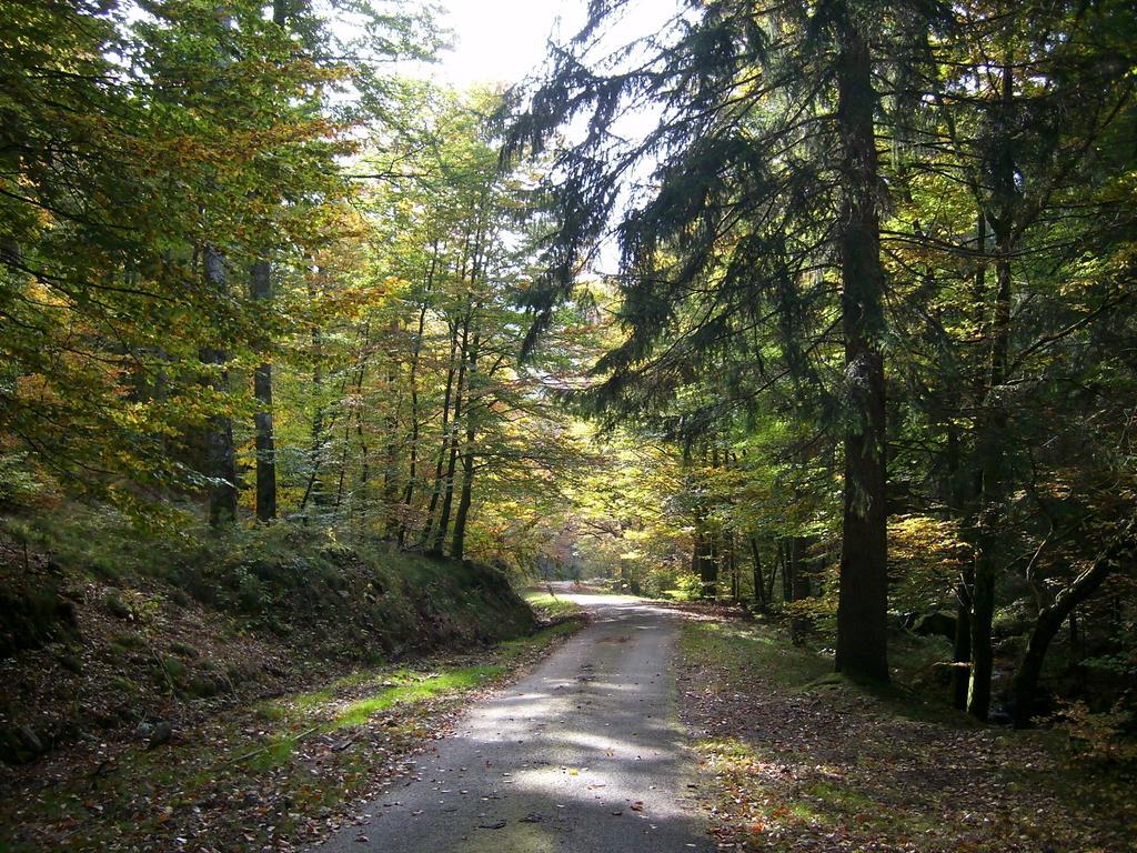 Chalet Du Montal Dun-les-Places الغرفة الصورة